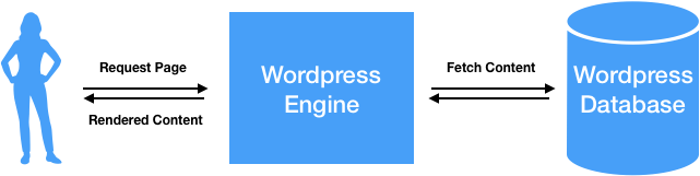 wordpress architecture